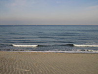 Img_0204