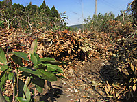 Img_0212_2