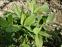Dvc00041_2