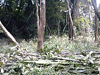Dvc00043