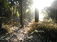 Dvc00044