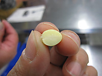 Img_1388 Img_1388
