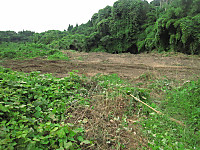 Img_2199 Img_2199